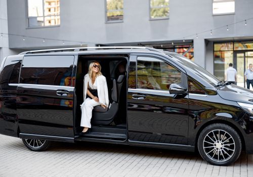 izmir vip transfer auda